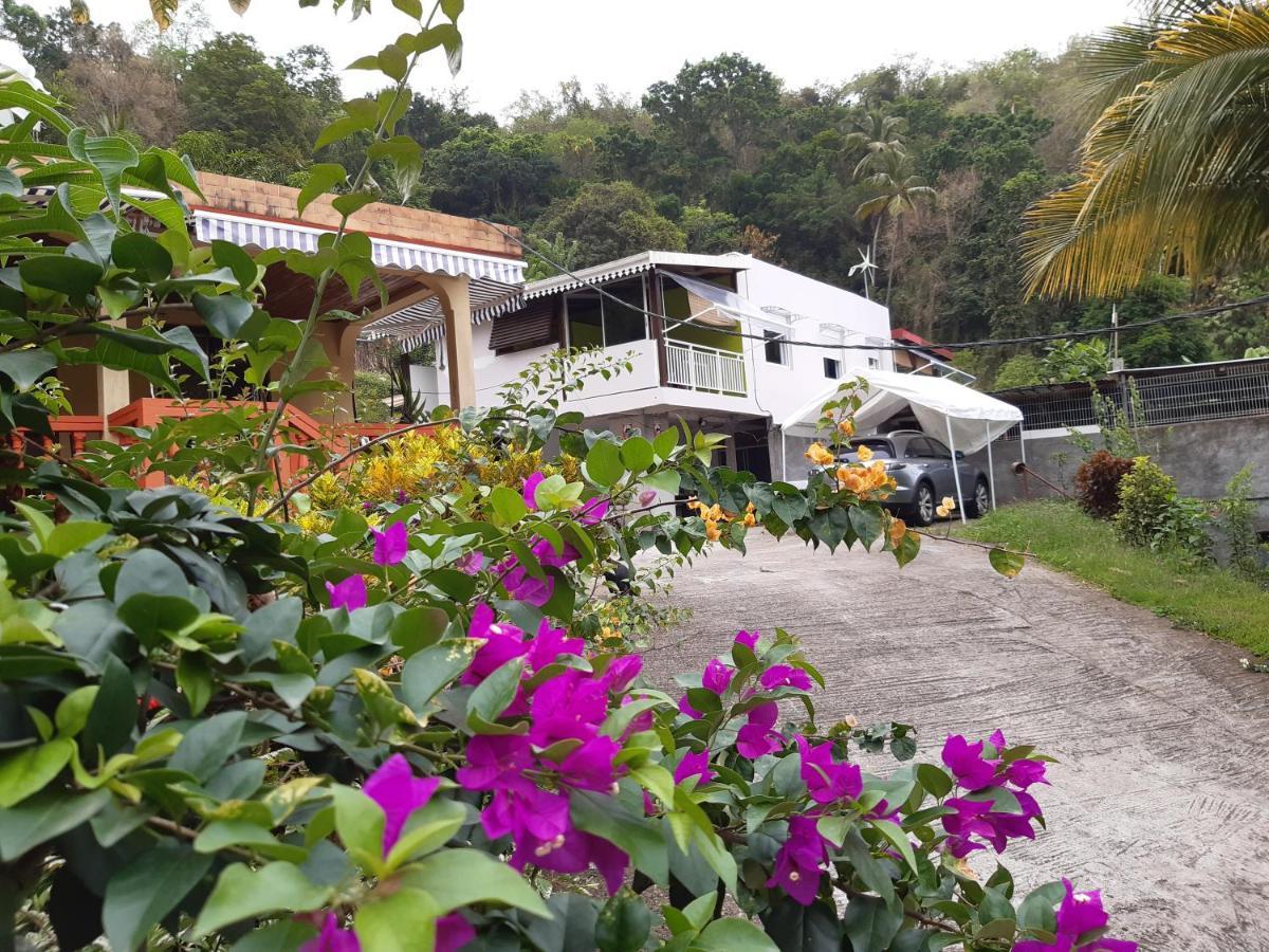 Villa La Poulette à Rivière-Pilote Extérieur photo