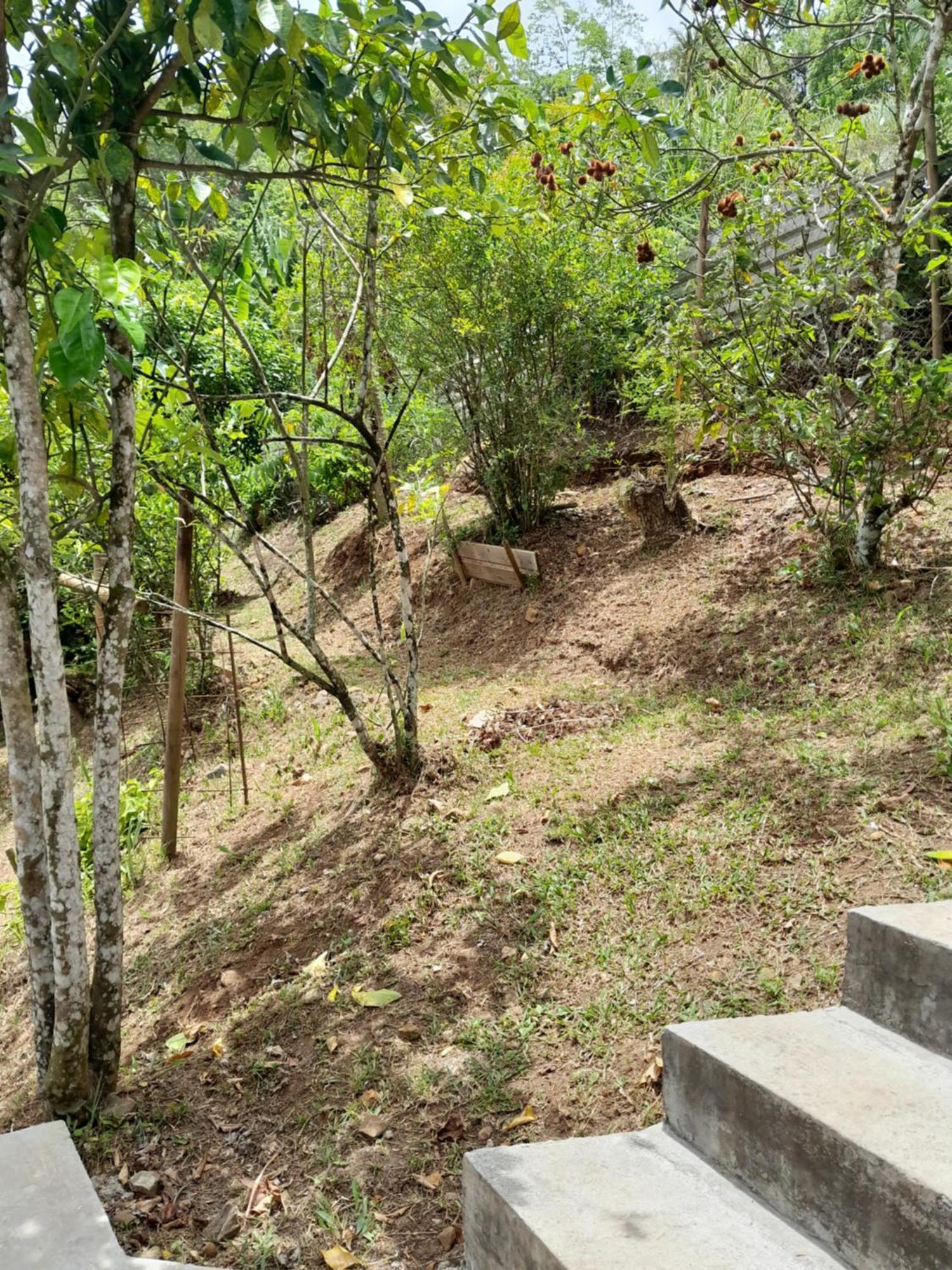Villa La Poulette à Rivière-Pilote Extérieur photo